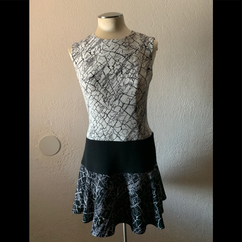 BcbgMaxAzria Dress